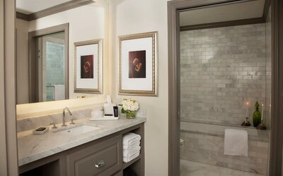 Hotel ZaZa Dallas