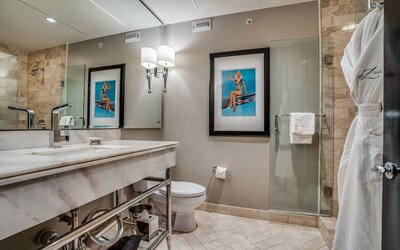 Hotel ZaZa Dallas