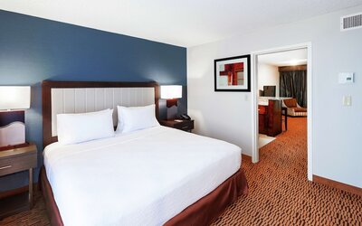 Embassy Suites by Hilton Dallas Market Center