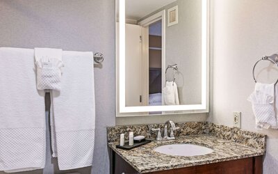 Embassy Suites by Hilton Dallas Market Center