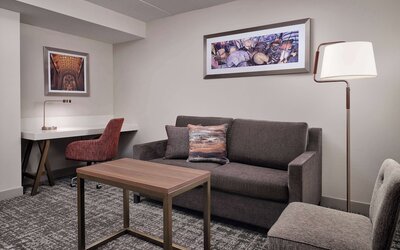 Hilton Garden Inn Detroit Downtown
