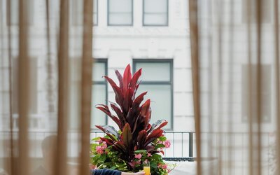 Shinola Hotel
