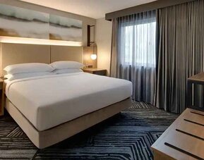 King room with natural light at Embassy Suites By Hilton San Rafael Marin County.
