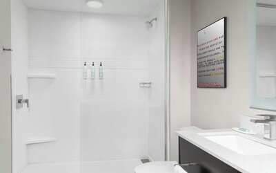 TownePlace Suites by Marriott Detroit Allen Park