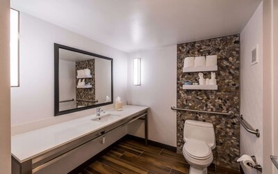 Hilton Garden Inn Detroit - Southfield, MI