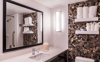 Hilton Garden Inn Detroit - Southfield, MI