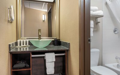 Radisson Hotel Southfield-Detroit