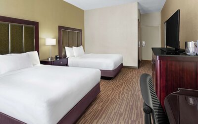 Room, Accessible, Bathtub