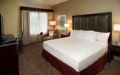 Room, 1 King Bed with Sofa bed, Non Smoking