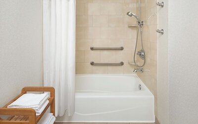 Room, Accessible, Non Smoking (Roll-in Shower)
