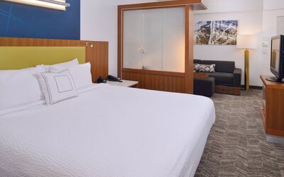 SpringHill Suites by Marriott Durham Chapel Hill