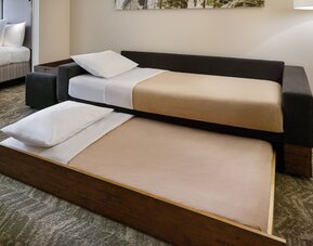 SpringHill Suites by Marriott Raleigh-Durham Airport/Research Triangle Park