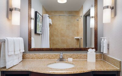 Hilton Garden Inn El Paso Airport