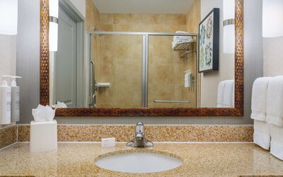 Hilton Garden Inn El Paso Airport