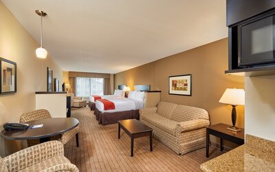 Holiday Inn Express & Suites El Paso Airport Area by IHG