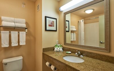 Holiday Inn Express & Suites El Paso Airport Area by IHG