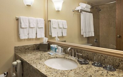 Wyndham El Paso Airport Hotel & Waterpark