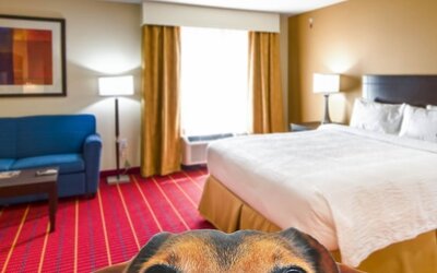 TownePlace Suites El Paso Airport