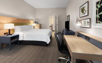 Holiday Inn El Paso West - Sunland Park by IHG