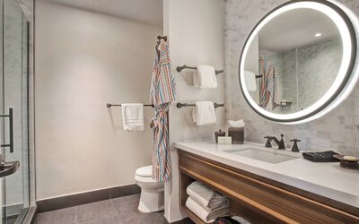 Hotel Paso Del Norte, Autograph Collection