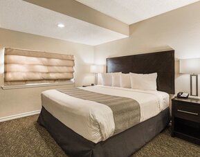 Chase Suite Hotel El Paso