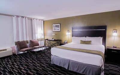 Executive Studio Suite