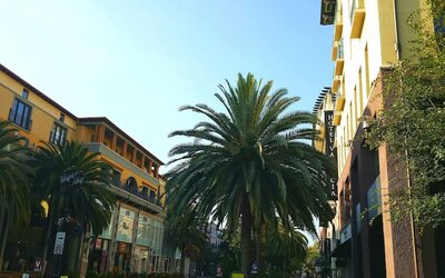 Hotel Valencia Santana Row