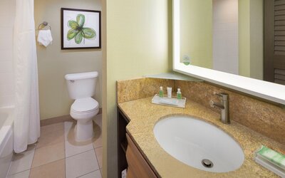 Holiday Inn San Jose - Silicon Valley by IHG