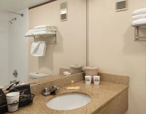 Private guest bathroom at EnVision Hotel Miami International Airport.