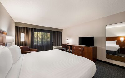 Deluxe Room, 1 King Bed with Sofa bed (Courtyard View)