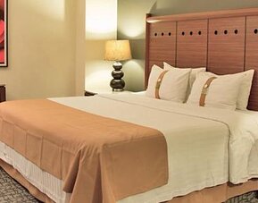 Hotel Holiday Inn Mexico City-Trade Center