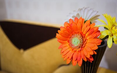 Menlo Park Inn