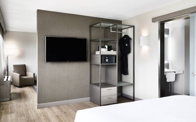 Deluxe Room, 1 King Bed, Mountain View