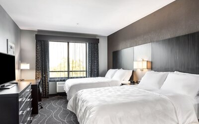 Suite, Multiple Beds