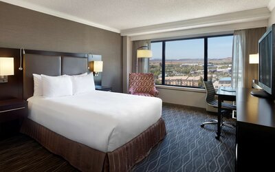 Executive Room, 2 Double Beds