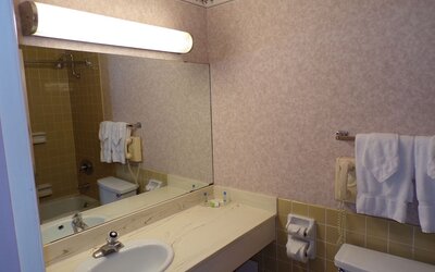 Piccadilly Inn Airport