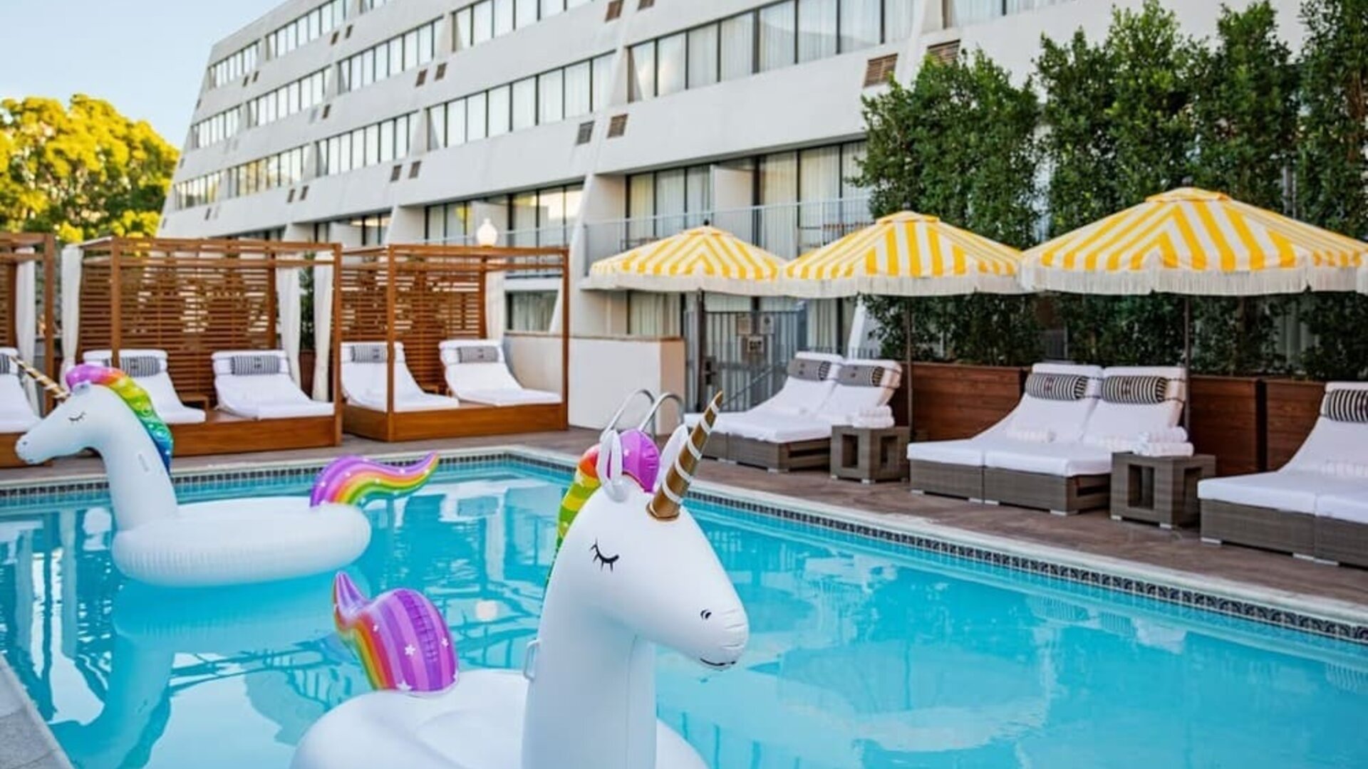 Fun in the sun in this stunning outdoor pool at Hotel Dena, Pasadena Los Angeles.