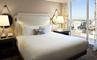 Fairmont Dallas