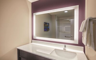 La Quinta Inn & Suites by Wyndham Dallas Northeast-Arboretum