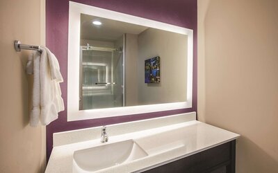 La Quinta Inn & Suites by Wyndham Dallas Northeast-Arboretum