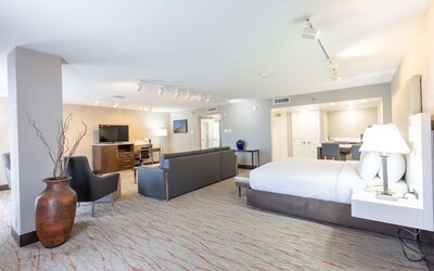 DoubleTree by Hilton Dallas - Richardson