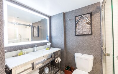 DoubleTree by Hilton Dallas - Richardson