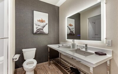 Cambria Hotel Richardson - Dallas