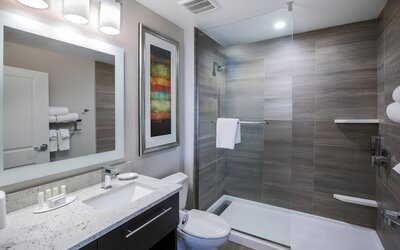 TownePlace Suites by Marriott Dallas Plano/Richardson