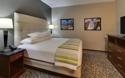Drury Plaza Hotel Dallas Richardson