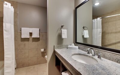 Drury Plaza Hotel Dallas Richardson