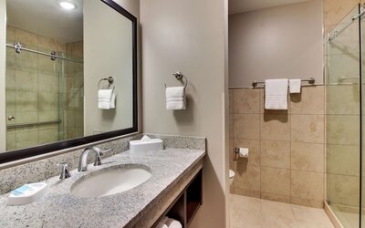 Drury Plaza Hotel Dallas Richardson