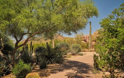 Four Seasons Resort Scottsdale at Troon North