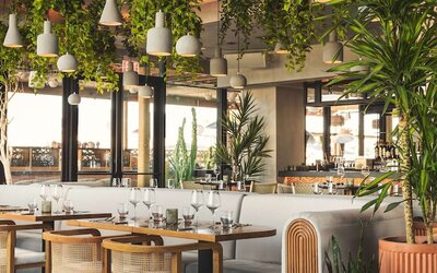 Senna House Hotel Scottsdale, Curio Collection by Hilton