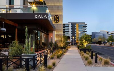 Senna House Hotel Scottsdale, Curio Collection by Hilton